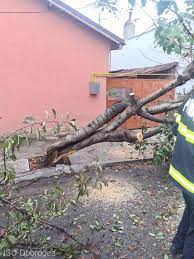 Copaci, stâlpi de electricitate, doborâţi de vijelie, mașini avariate