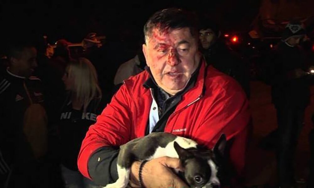 PNL cu fața la trecut și prin tufișuri