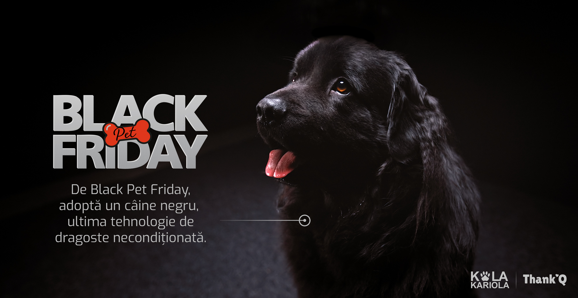 Black Pet Friday, o șansă pentru câinii negri