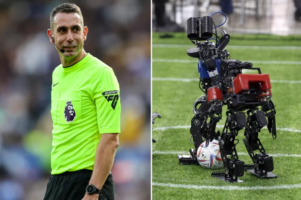 Federația engleză vrea arbitri robot în Premier League