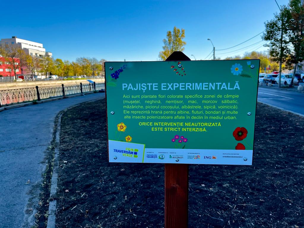 Pajiști experimentale pe malul Dâmboviței