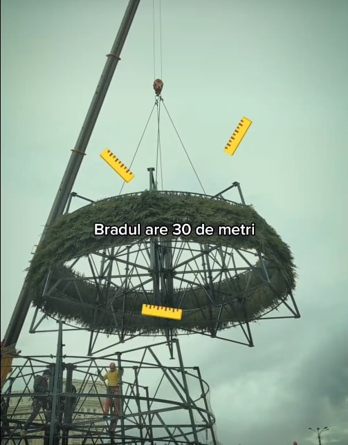 A început instalarea bradului în Piața Constituției