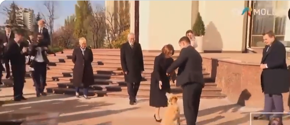 Mușcat de câinele Maiei Sandu. Cum a apărut ulterior Van der Bellen