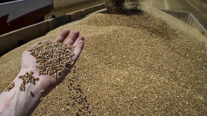 Cadoul lui Putin pentru mai multe țări africane