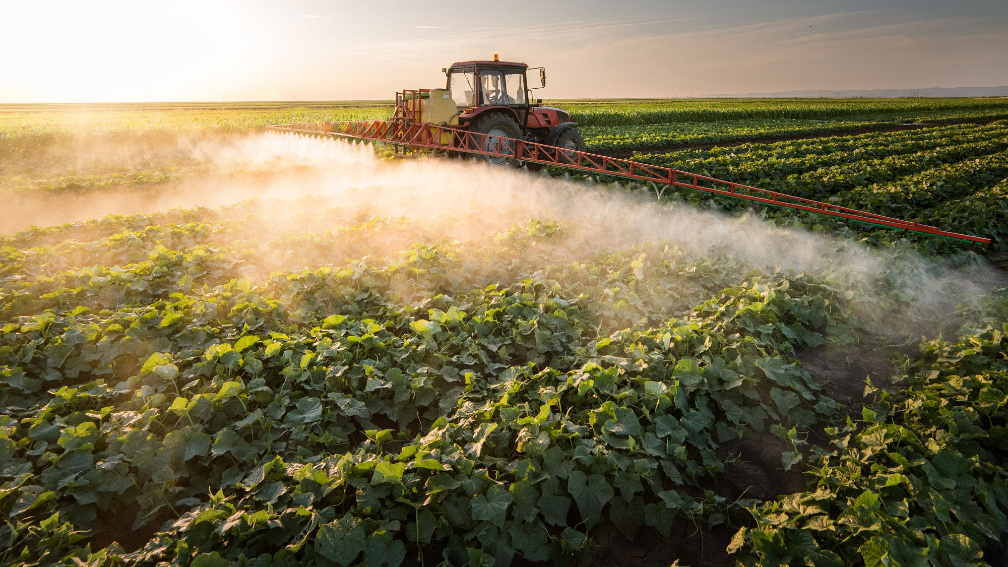 Vin vești bune pentru fermierii români de la Parlamentul European