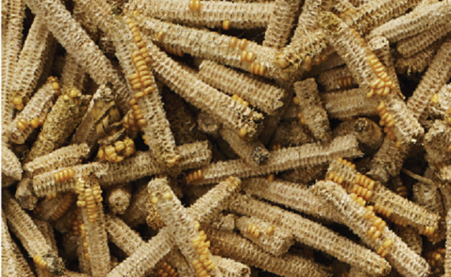 „Iac-așa, 15 șucălăi, opt euro în Germania”