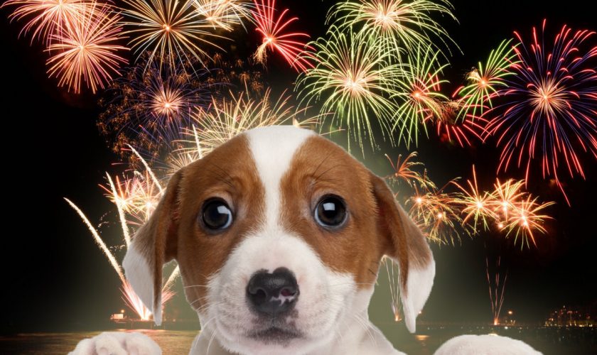 Începe coșmarul petardelor. Materiale pirotehnice, doar cu aviz!