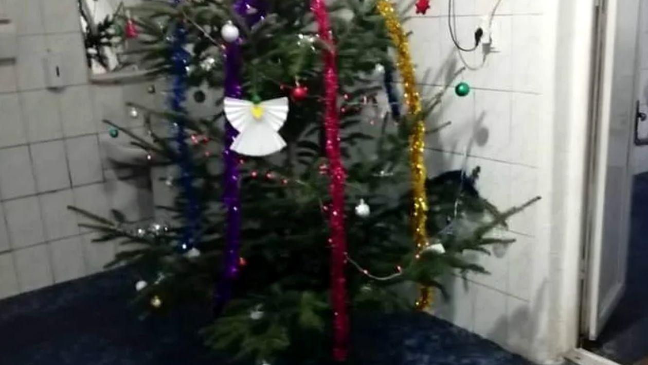 Decorațiunile de brad de altădată, căutate de colecționari