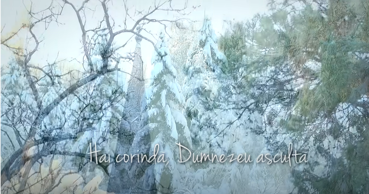 Primiți cu colindul?!