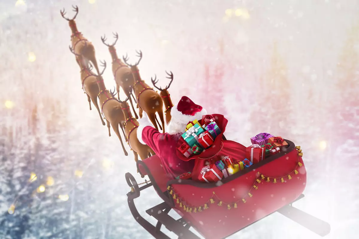 Renii lui Moș Crăciun sunt, de fapt, femele