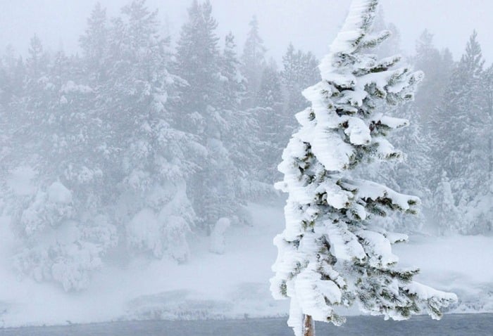 Risc de avalanșe în Carpați