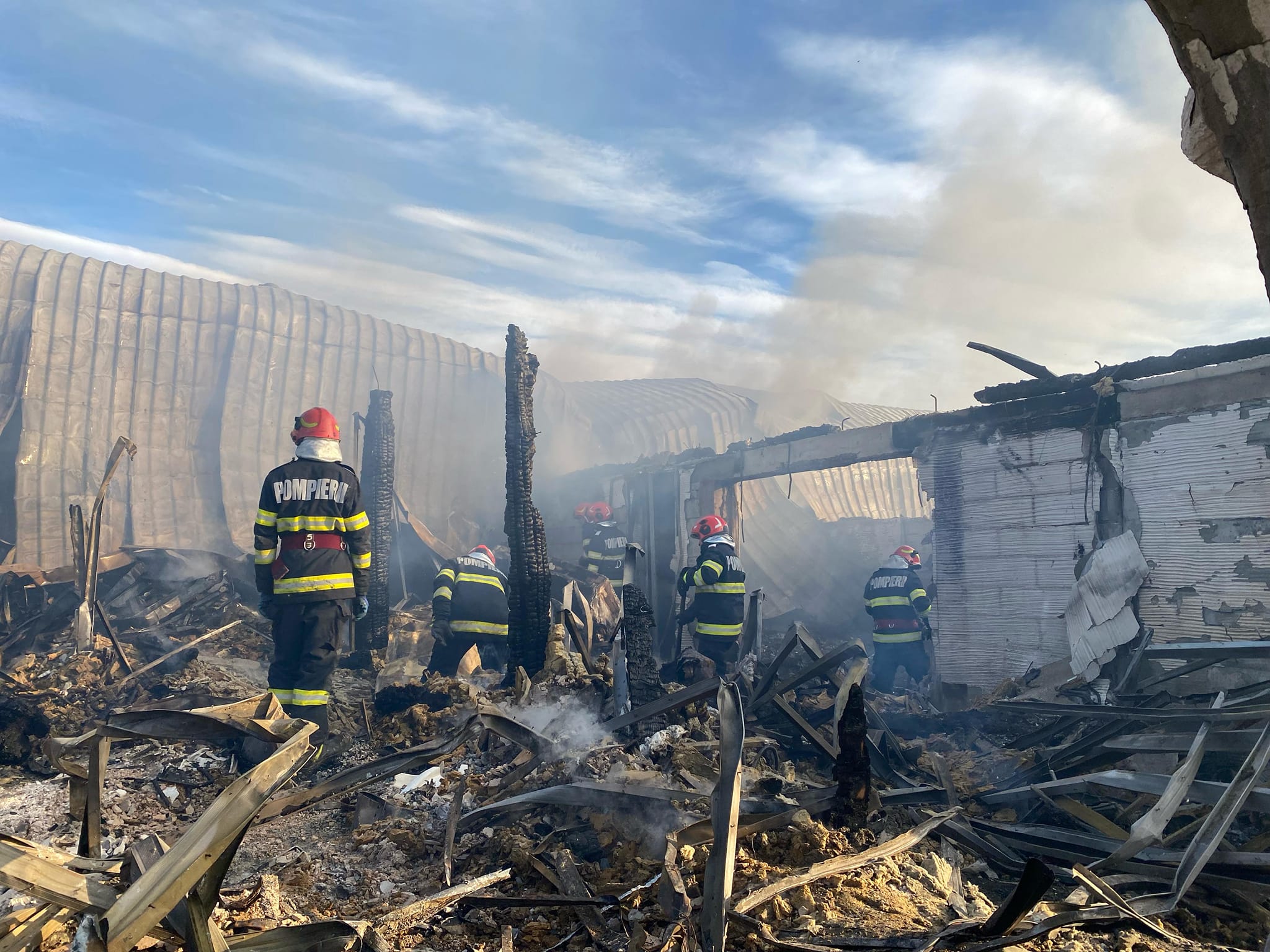 Alt decedat găsit la Ferma Dacilor