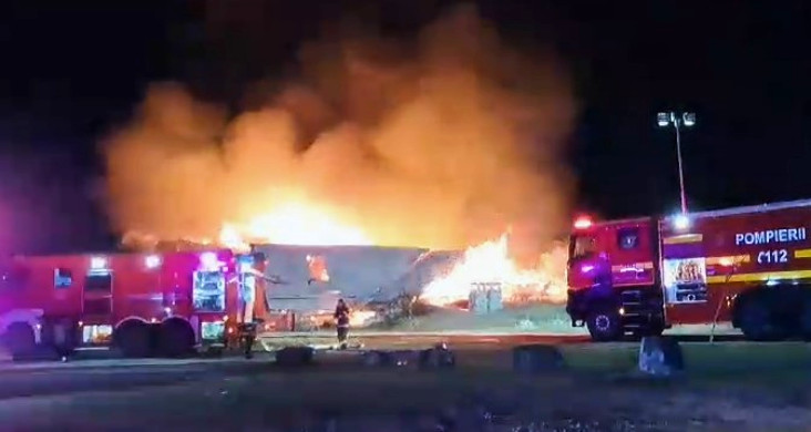 Ferma Dacilor. Plasma s-a încins ca televizorul pe lămpi??