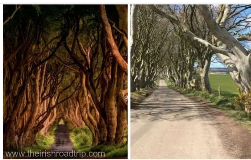 „Tunelul” faimos din ”Game of Thrones” ar putea să dispară