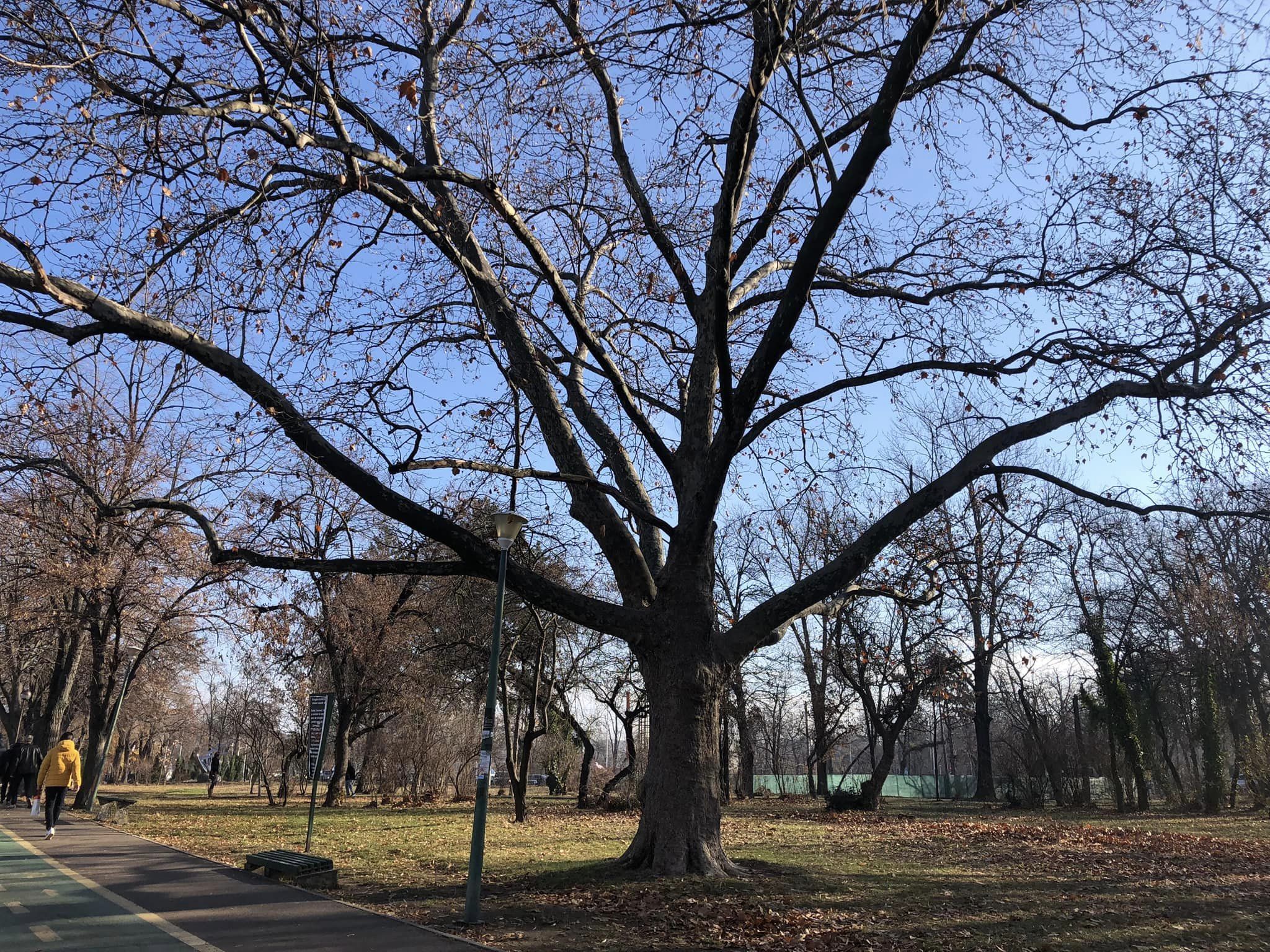 Cât mai ține vremea de primăvară
