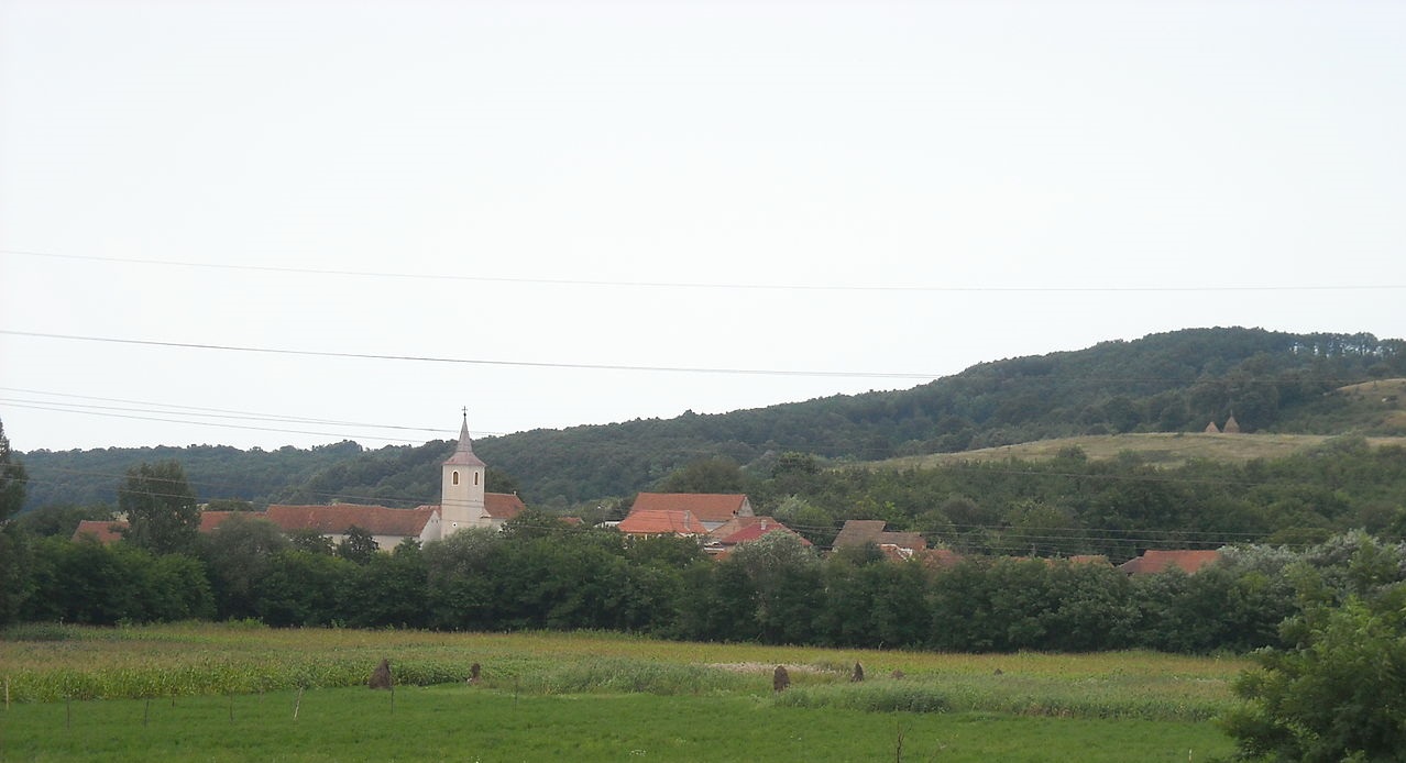 Cornel Nistorescu, despre satul copilăriei