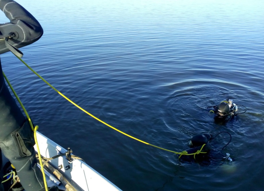 Armă furată descoperită în lacul Pantelimon