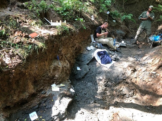 Fosile de dinozaur, descoperite în Țara Hațegului