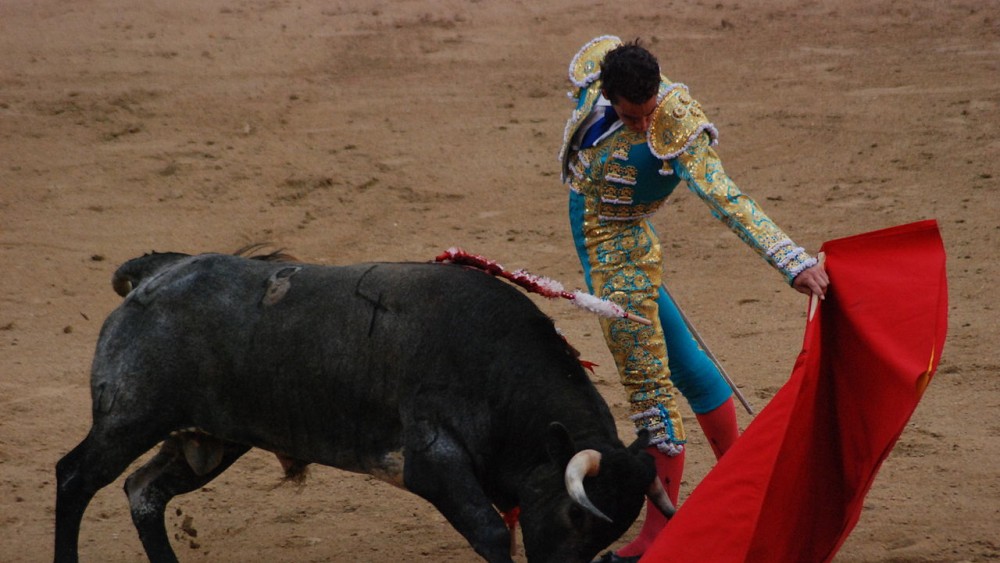 Decizie recentă a Curţii Supreme. „Taurii se întorc în Ciudad de Mexico”