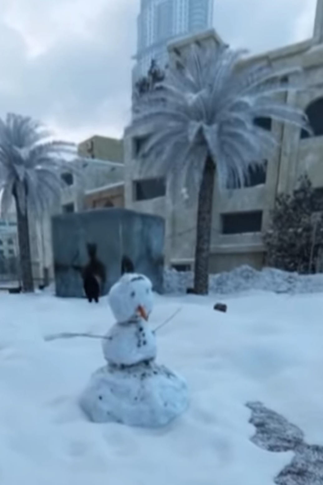 (VIDEO) Imagini rare în Dubai