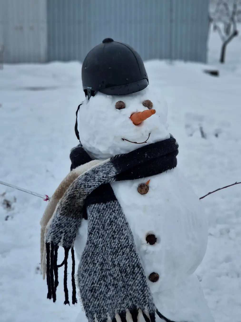 Nicu Alifantis: Visul unei nopți de iarnă