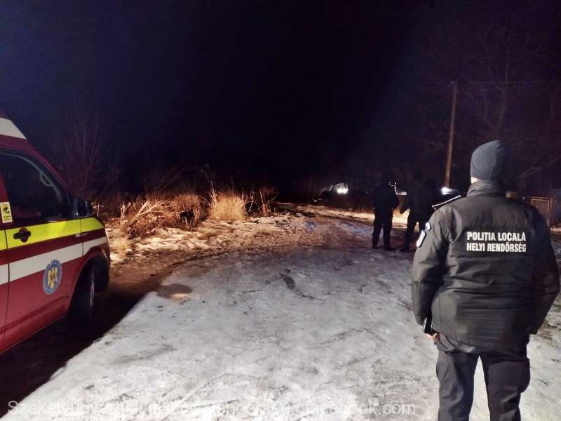 „Din păcate”. Ursoaica și unul dintre puii ei au fost împușcați