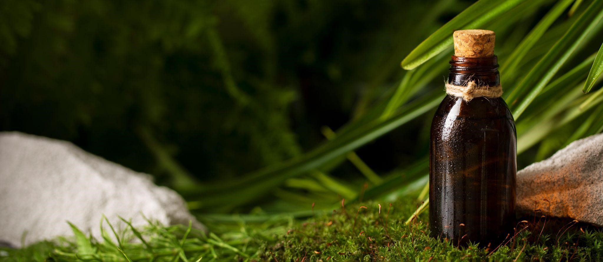 Bitter suedez – ce este și cum poate ajuta organismul?