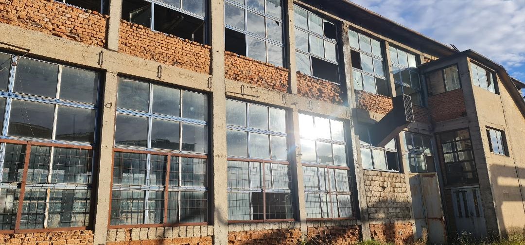 „Viitorul României stă în înarmare”, spune Mircea Geoană