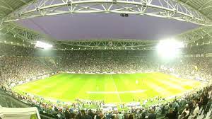 Strigătele de maimuţă pe stadion, în sondaje