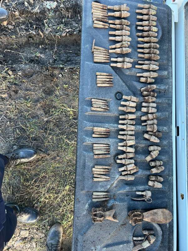 Focoase și cartușe găsite într-o pădure din Vaslui