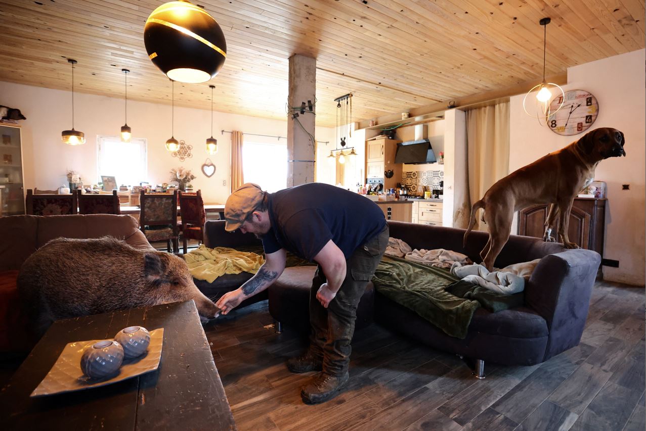 Oscar a refuzat să mai mănânce