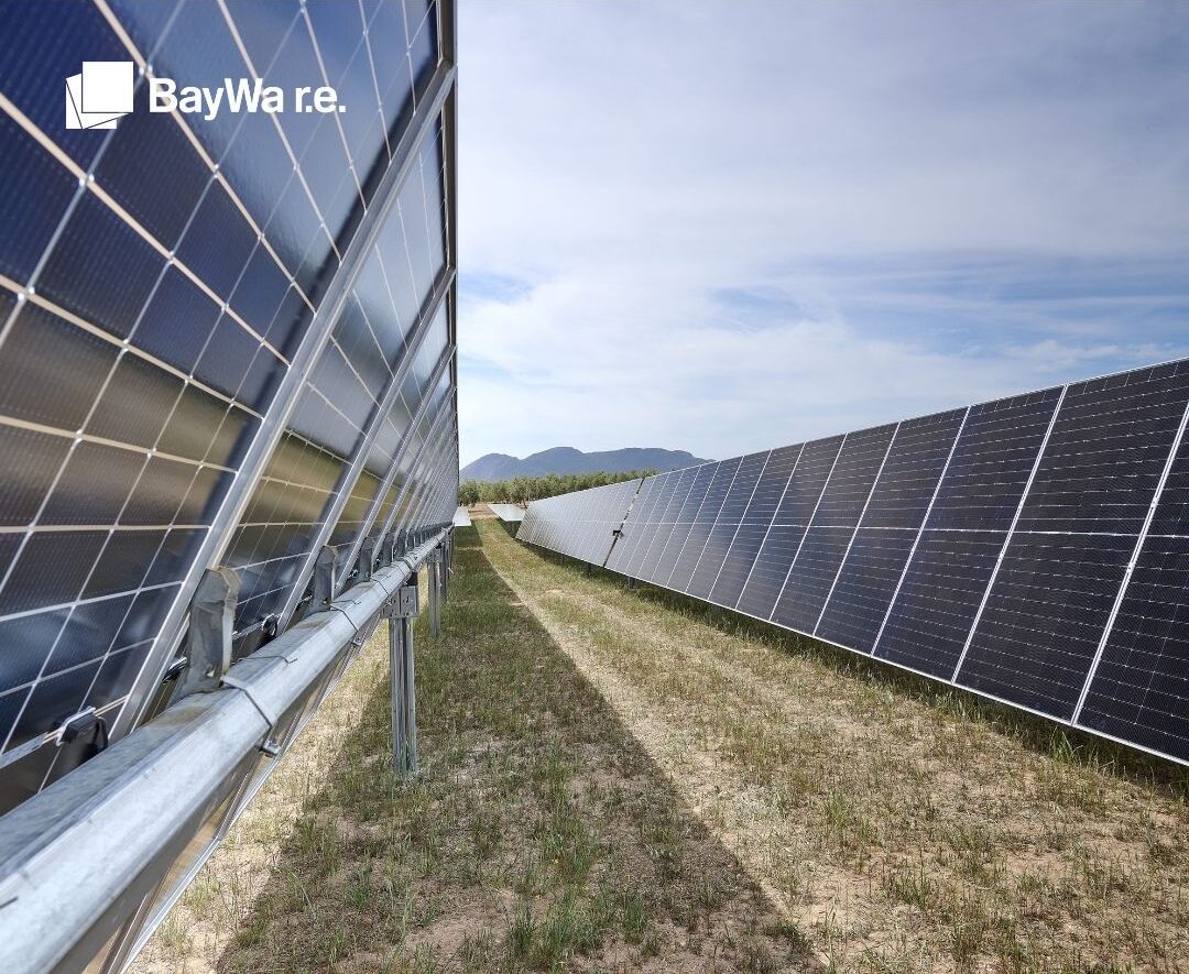 Parcul solar Poarta Albă, preluat de BayWa r.e.