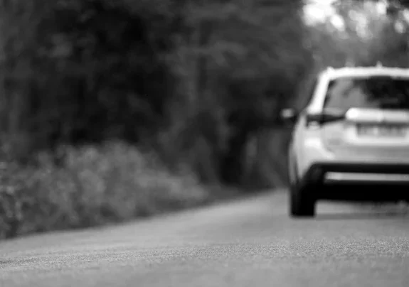 Reţinut pentru 24 de ore. A ucis cu maşina un câine