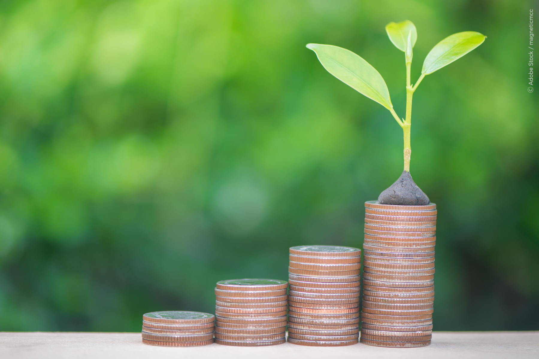 România a lansat prima sa emisiune de obligaţiuni verzi