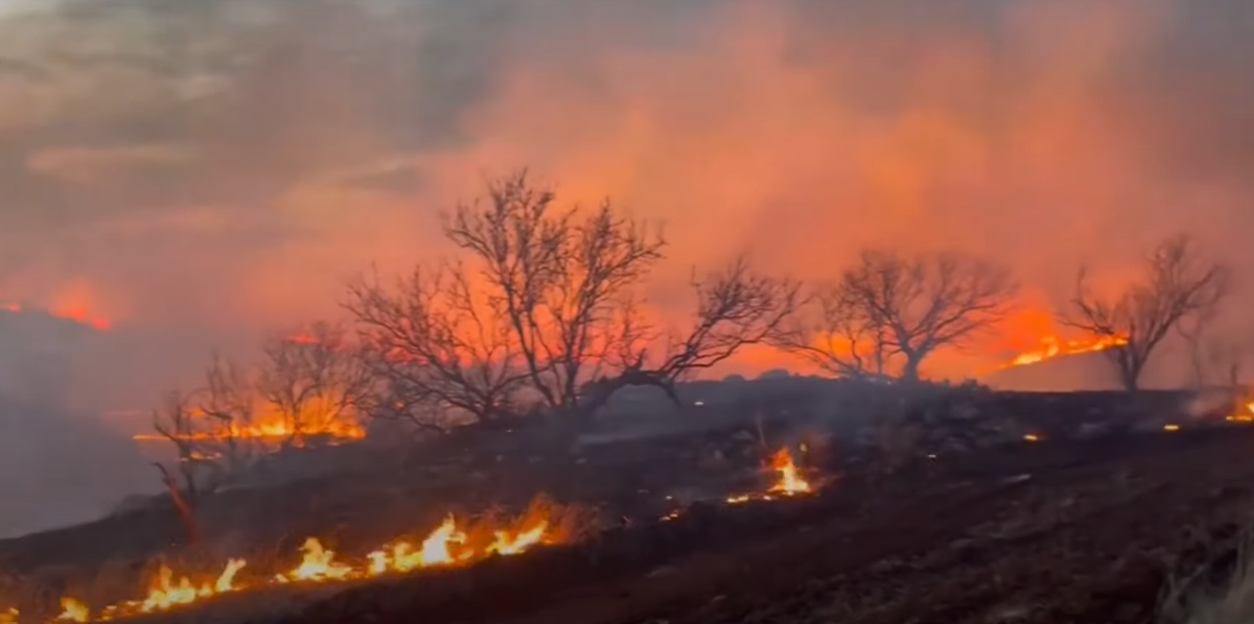 România, lider în UE