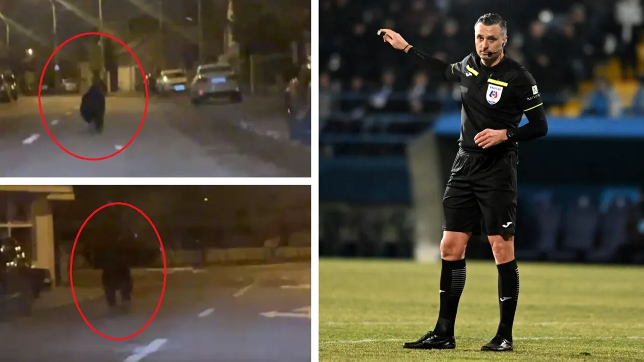 Un arbitru român din lotul de SuperLiga a văzut ursul!
