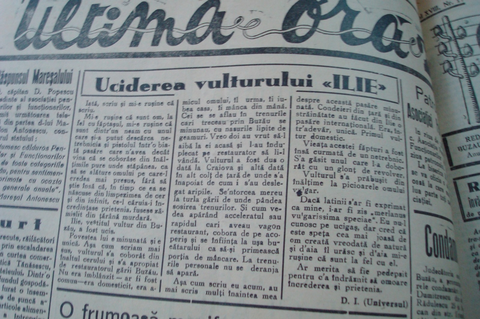 100 de ani de legendă. Genialul Ilie, vulturul înmormântat cu onoruri