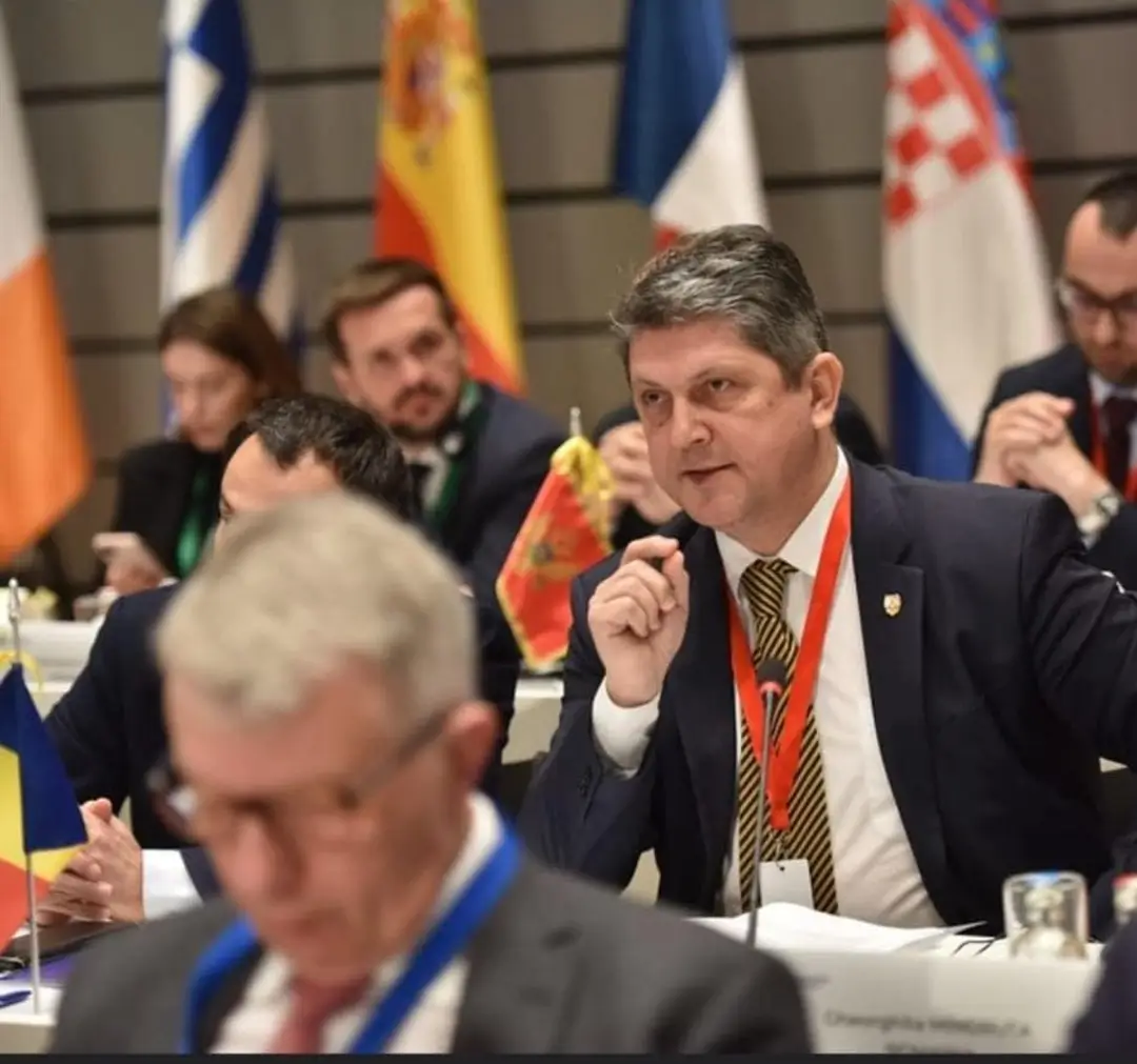 „Greul” din PSD scos din cărți la europarlamentare