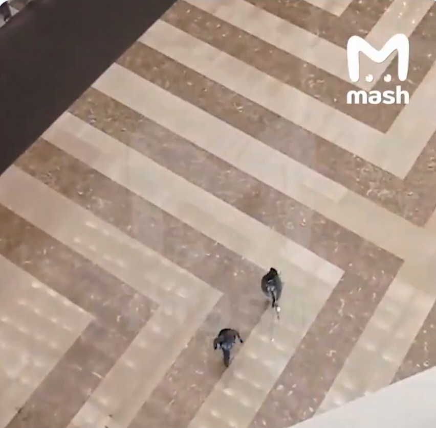 Casa Albă respinge ipoteza implicării Ucrainei