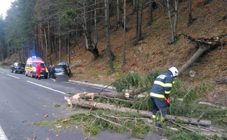 Au trăit spaima vieţii lor în trafic!