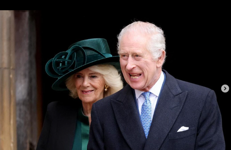 Camilla ar putea lua locul Regelui