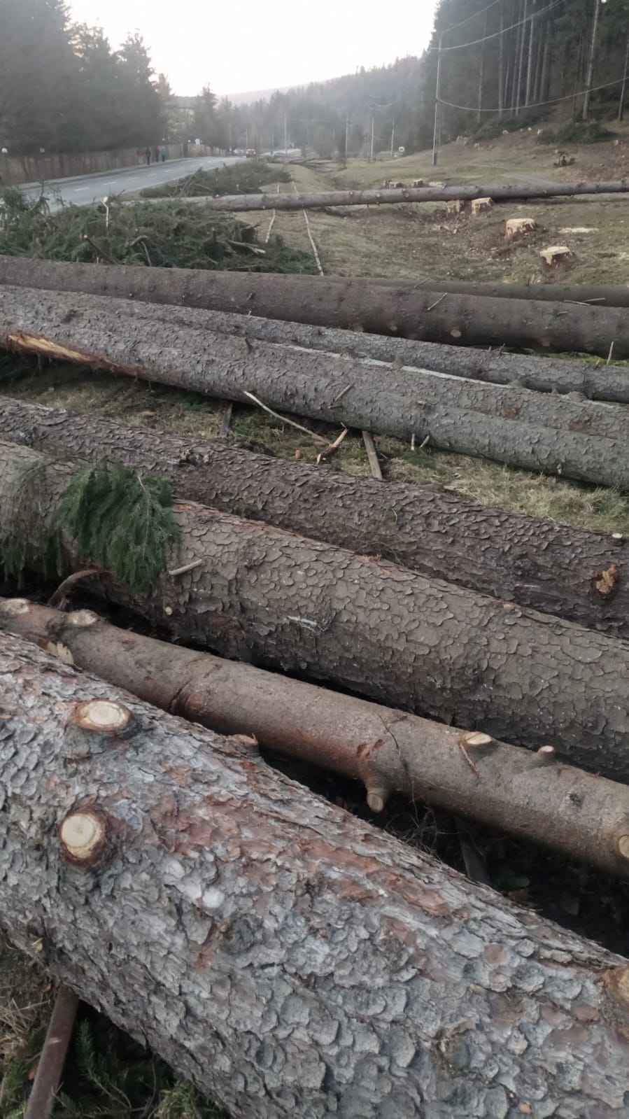 Distrugere în Valea Zânelor din Covasna (foto)