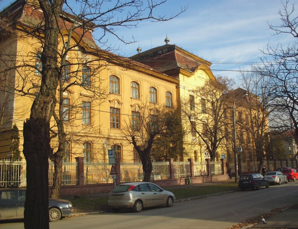 Intoxicație misterioasă la Timișoara