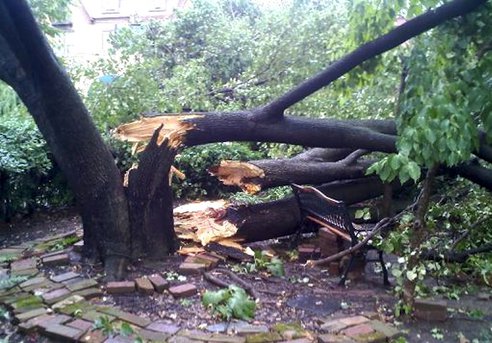 Unde a bătut vântul mai tare. Oamenii, ca frunzele