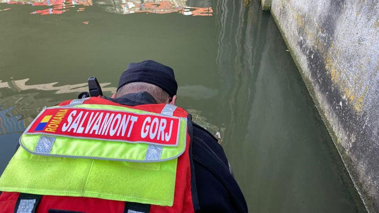 Înecate într-un baraj de pe râul Olt