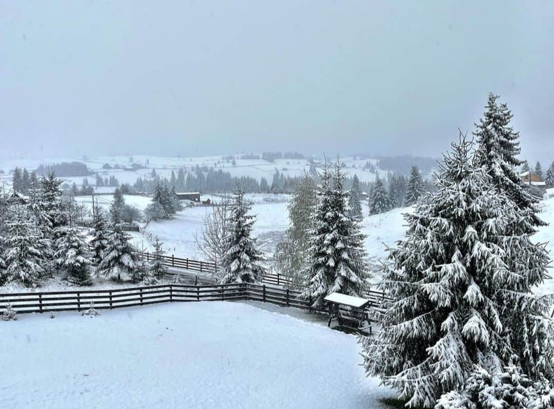 Ninge ca iarna la Cluj