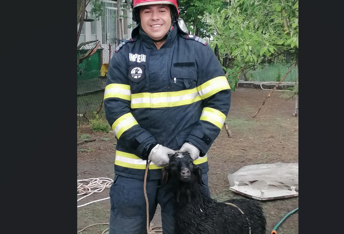 Căpriță salvată de pompieri dintr-o fântână