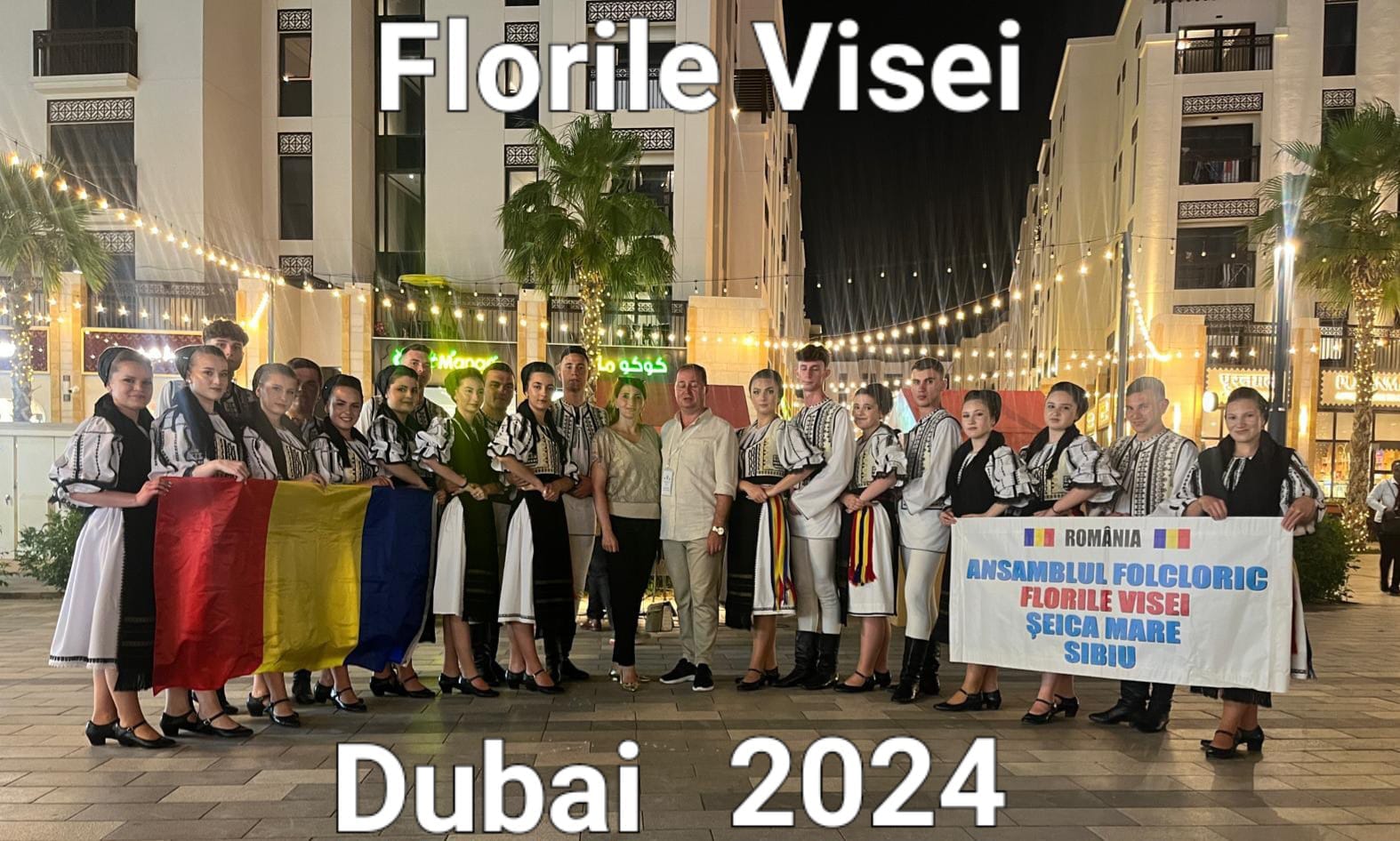 Surse: Aduși din Dubai cu avionul premierului