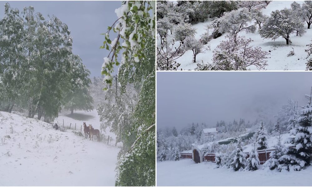 Valea Jiului, în straie de iarnă