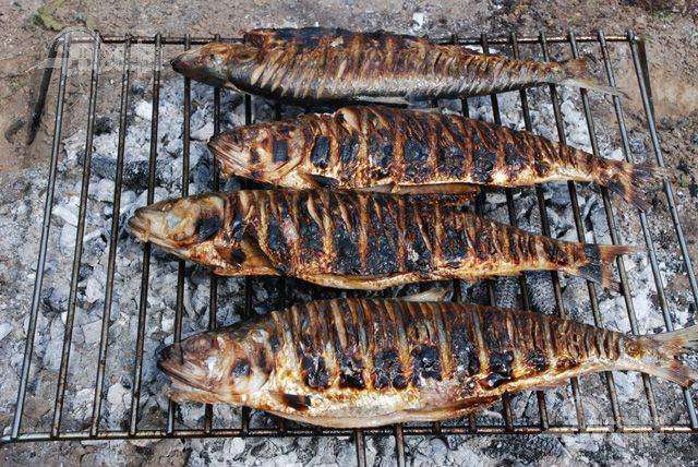 Tradiţii și scrumbii, în parc, în București